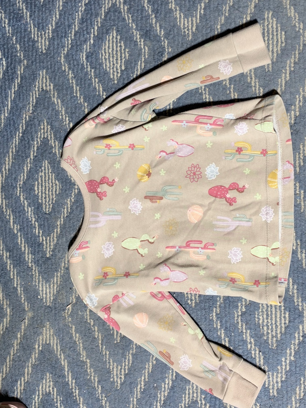 Garanimals Beige Long-Sleeve Top with Colorful Cactus Print